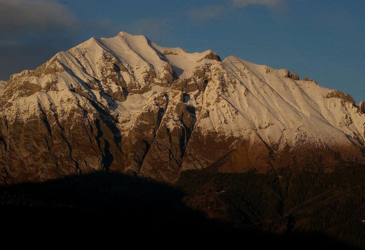 Catif Ladru Bed and Breakfast Cerveno Exteriör bild