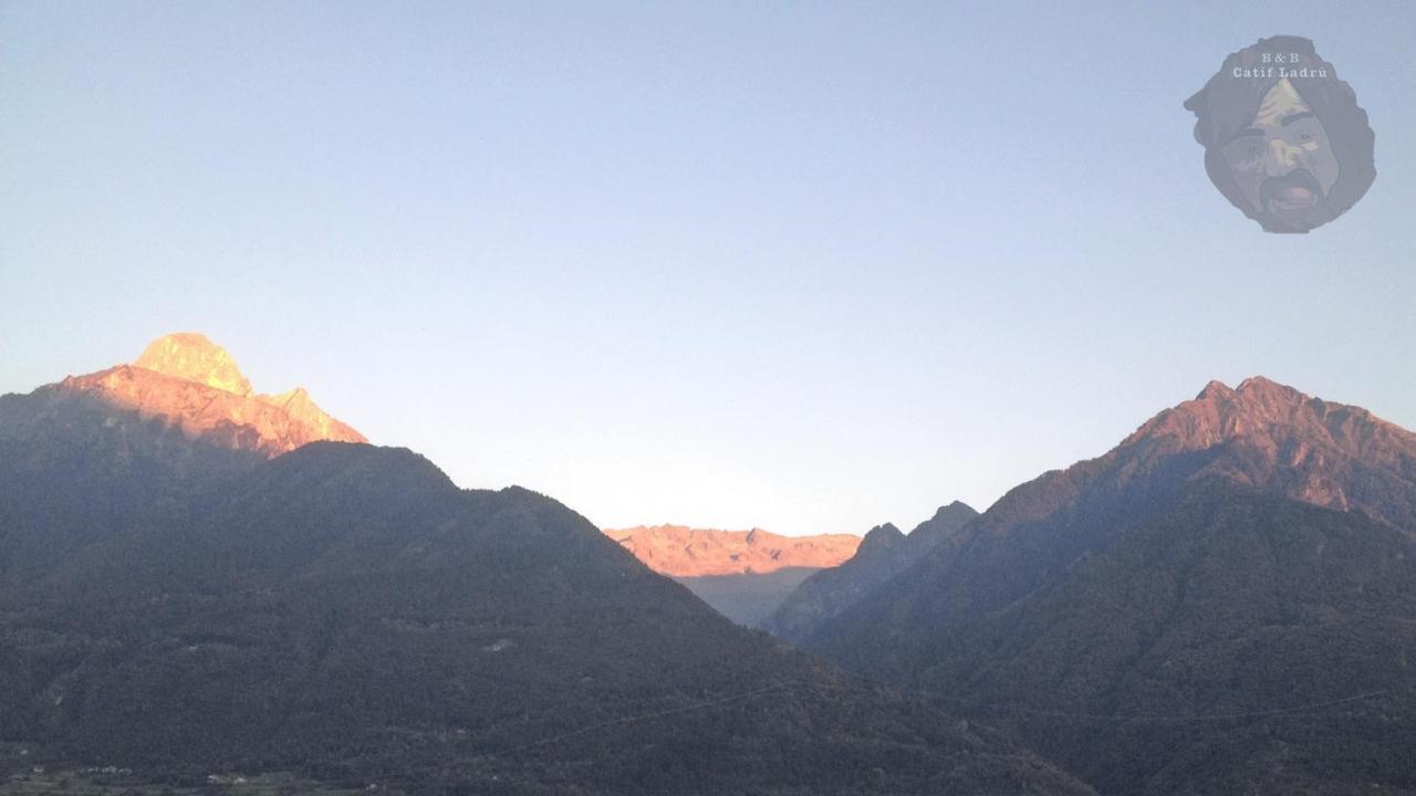 Catif Ladru Bed and Breakfast Cerveno Exteriör bild